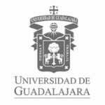 universidad-guadalajara.png